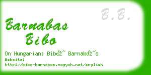 barnabas bibo business card